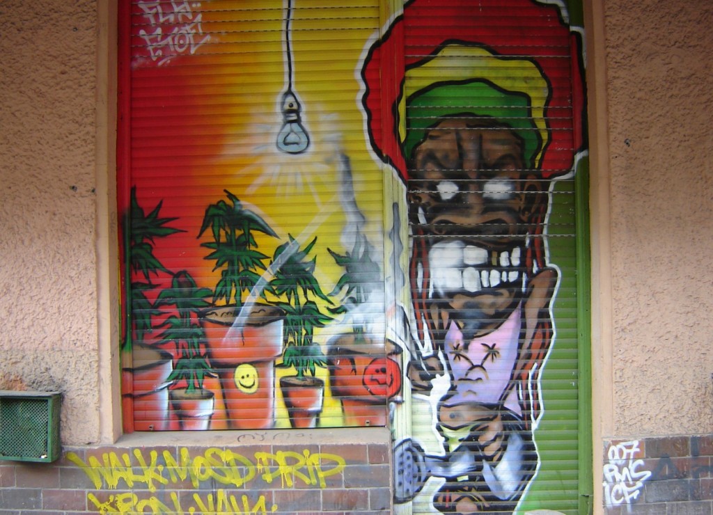 Legalisierung von Cannabis?! Märkte, Menschen, Meinungen