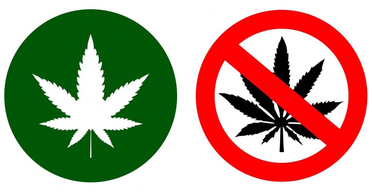 „Soll Cannabis legalisiert werden?“