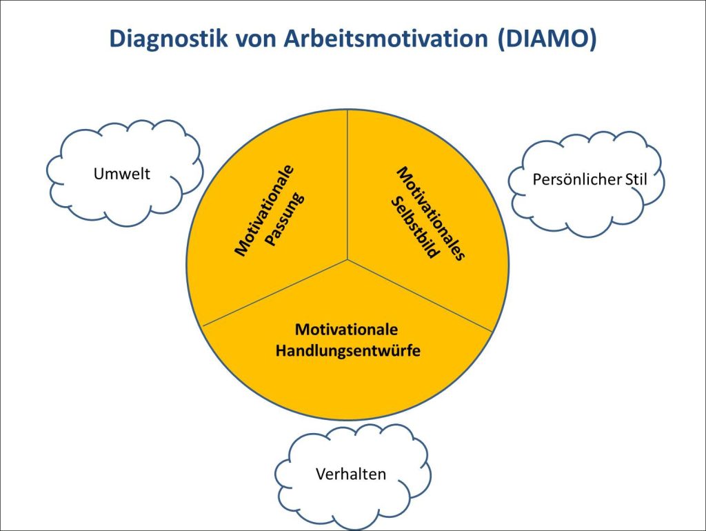 Abbildung 1: Bereiche, die durch den DIAMO-Fragebogen abgefragt werden