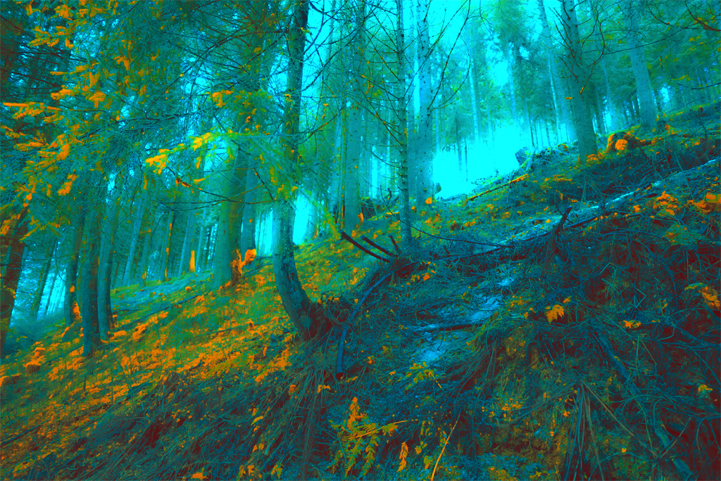 Kulturdrogen – Drogenkultur