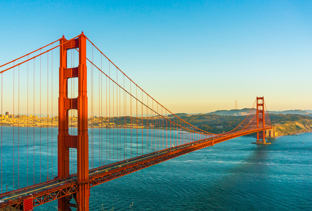 Substitution und medizinische Reha